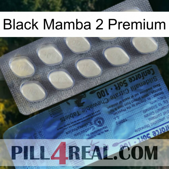 Black Mamba 2 Premium 34.jpg